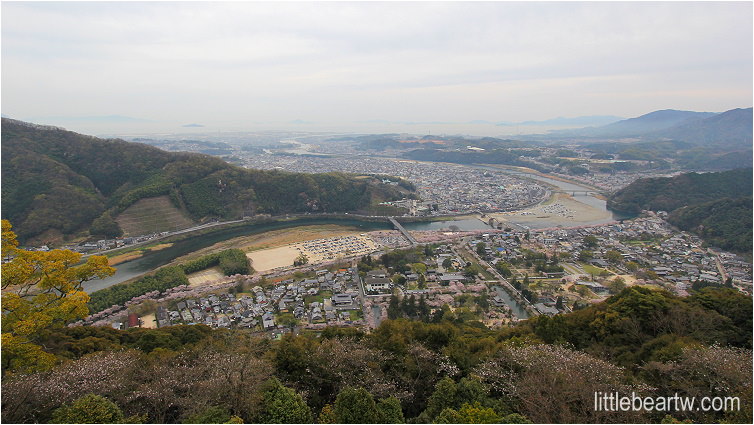 【山陽舞櫻Day2-3】岩國：岩國城．吉香公園．岩國壽司