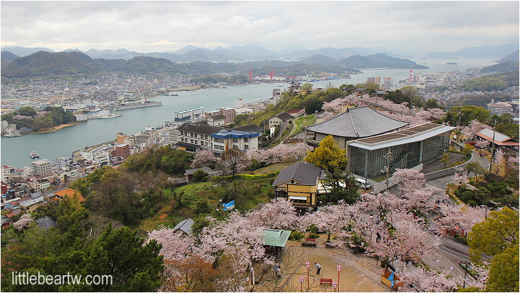 【山陽舞櫻Day4-3】尾道：櫻百選 _ 千光寺公園