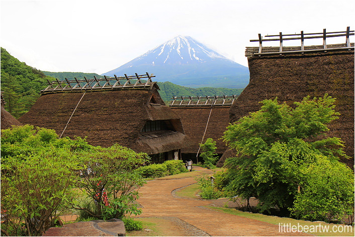 【伊豆富士Day7-2】富士五湖：西湖療癒里根場（西湖いやしの里根場）