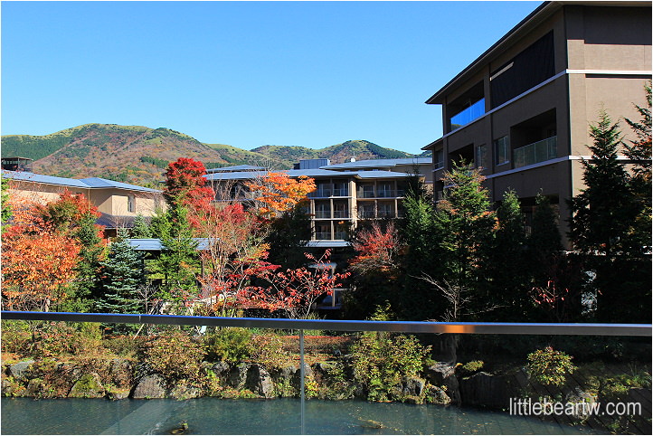【箱根紅葉Day3-4】仙石原溫泉住宿：箱根翡翠（Hotel Harvest Hokone Hisui） – 綠意與水包圍的度假村、房間寬敞、兩種名湯、晚餐單點吃到飽