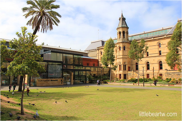 【南澳洲Day4-2】阿得雷德市區漫步：南澳大利亞博物館 South Australian Museum