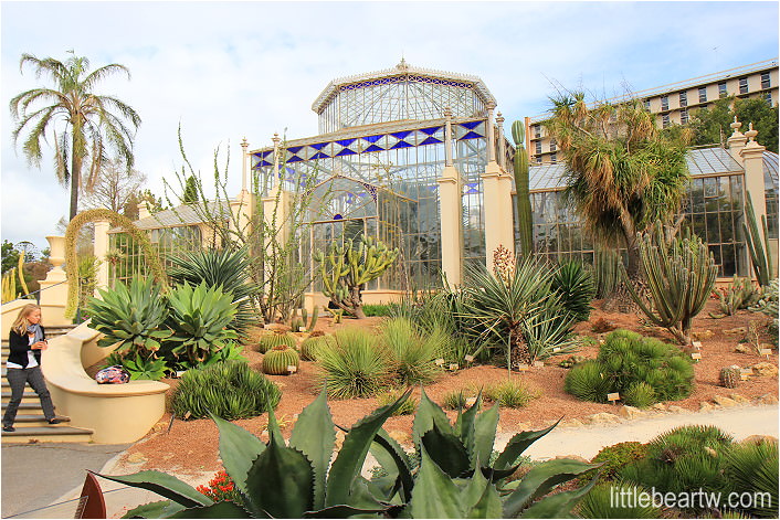 【南澳洲Day4-3】阿得雷德市區漫步：阿得雷德植物園 Adelaide Botanic Garden．托倫斯河 River Torrens