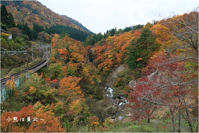 【楓狂東北Day7-1】紅葉川溪谷(1)：JR仙山線．面白山高原駅