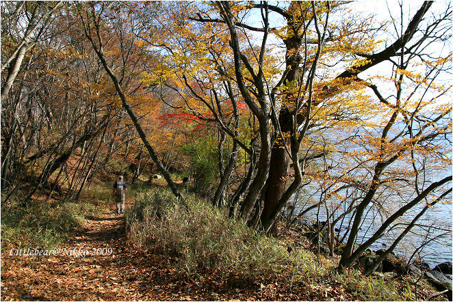 【紅葉日光Day3-5】黃綠紅 – 中禪寺湖自然研究路