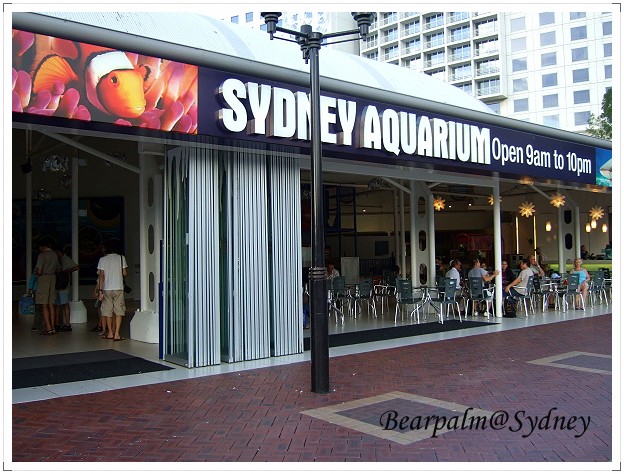 【雪梨】雪梨水族館 Sydney Aquarium